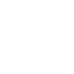 تقنية المعلومات والحلول الرقمية